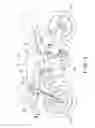 Fig. 02 - Air intake structure for motorcycle