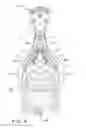 Fig. 06 - Air intake structure for motorcycle