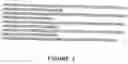 Fig. 03 - Novel human genes and proteins encoded thereby