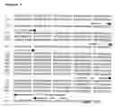 Fig. 08 - Attenuated bacteria useful in vaccines