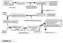 Fig. 10 - Attenuated bacteria useful in vaccines