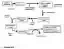 Fig. 11 - Attenuated bacteria useful in vaccines