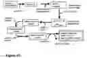 Fig. 14 - Attenuated bacteria useful in vaccines