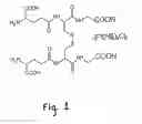 Fig. 02 - Methods for production of the oxidized glutathione composite with cis-diamminedichloroplatinum and pharmaceutical compositions based thereof regulating metabolism, proliferation, differentiation and apoptotic mechanisms for normal and transformed cells