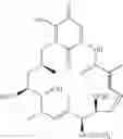 Fig. 02 - Method for treating diseases using HSP90-inhibiting agents in combination with antibiotics