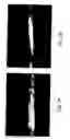 Fig. 08 - Composite twist core-spun yarn and method and device for its production