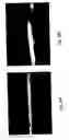 Fig. 09 - Composite twist core-spun yarn and method and device for its production