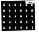 Fig. 01 - Microscale compression molding of metals with surface engineered LIGA inserts