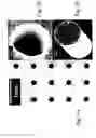 Fig. 04 - Microscale compression molding of metals with surface engineered LIGA inserts
