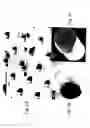 Fig. 05 - Microscale compression molding of metals with surface engineered LIGA inserts