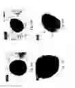 Fig. 11 - Microscale compression molding of metals with surface engineered LIGA inserts