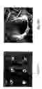 Fig. 16 - Microscale compression molding of metals with surface engineered LIGA inserts