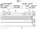 Fig. 05 - Semiconductor layer formed by selective deposition and method for depositing semiconductor layer