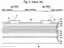 Fig. 10 - Semiconductor layer formed by selective deposition and method for depositing semiconductor layer