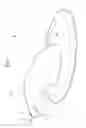 Fig. 02 - Mouse