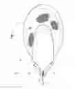 Fig. 03 - Mouse