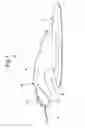 Fig. 04 - Mouse