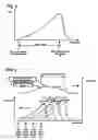 Fig. 03 - Raman excitation control method and optical transmission system using the same