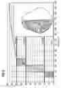 Fig. 06 - Method for automatic calibration of perfusion parameter images