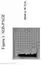 Fig. 02 - Method for defining, identifying and isolating fatty acid and retinal binding protein complexes having immuno-suppressive activity