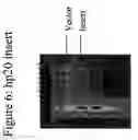 Fig. 07 - Method for defining, identifying and isolating fatty acid and retinal binding protein complexes having immuno-suppressive activity