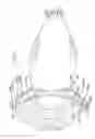Fig. 41 - Poultry feeder