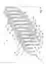 Fig. 09 - Stator of a rotary electric machine having stacked core teeth