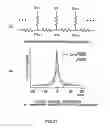 Fig. 22 - Image sensing apparatus