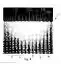 Fig. 02 - Apertured film