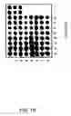 Fig. 03 - Gene expression profiling technology for treatment evaluation of multiple sclerosis
