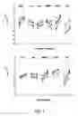 Fig. 05 - Gene expression profiling technology for treatment evaluation of multiple sclerosis