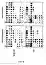 Fig. 08 - Gene expression profiling technology for treatment evaluation of multiple sclerosis