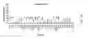 Fig. 09 - Gene expression profiling technology for treatment evaluation of multiple sclerosis