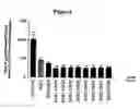 Fig. 05 - Human antibody molecules for IL-13