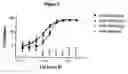 Fig. 08 - Human antibody molecules for IL-13