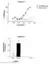 Fig. 10 - Human antibody molecules for IL-13