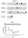 Fig. 14 - Human antibody molecules for IL-13