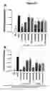 Fig. 17 - Human antibody molecules for IL-13