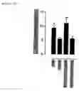 Fig. 18 - Human antibody molecules for IL-13