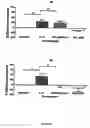 Fig. 20 - Human antibody molecules for IL-13