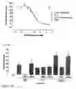 Fig. 22 - Human antibody molecules for IL-13
