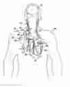 Fig. 01 - Applications of vagal stimulation