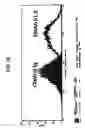 Fig. 09 - Monoclonal antibodies and cell surface antigens for the detection and treatment of small cell lung cancer (SCLC)