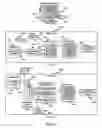 Fig. 22 - Non-linear execution of application program instructions for application program obfuscation