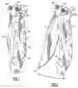 Fig. 02 - Folding blade knife with spring assisted pivoting feature