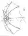 Fig. 02 - Bumper for an umbrella