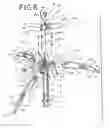 Fig. 04 - Collapsible grappling hook