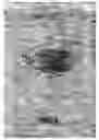 Fig. 06 - Method and system for unsupervised transfer function generation for images of rendered volumes