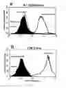 Fig. 05 - Recombinant MHC molecules useful for manipulation of antigen-specific T-cells