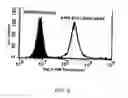 Fig. 06 - Recombinant MHC molecules useful for manipulation of antigen-specific T-cells